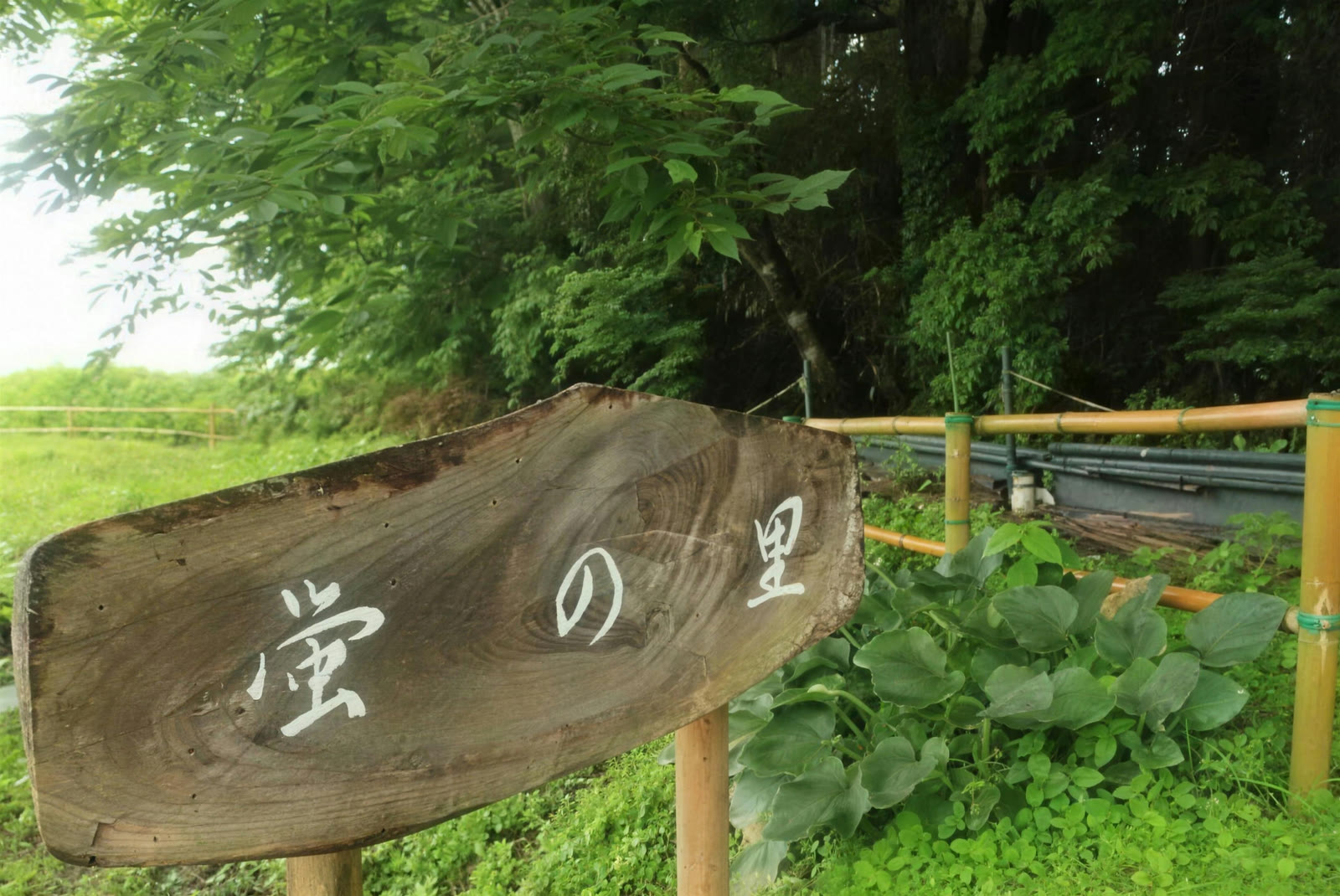 木々を背にした「蛍の里」の木製看板