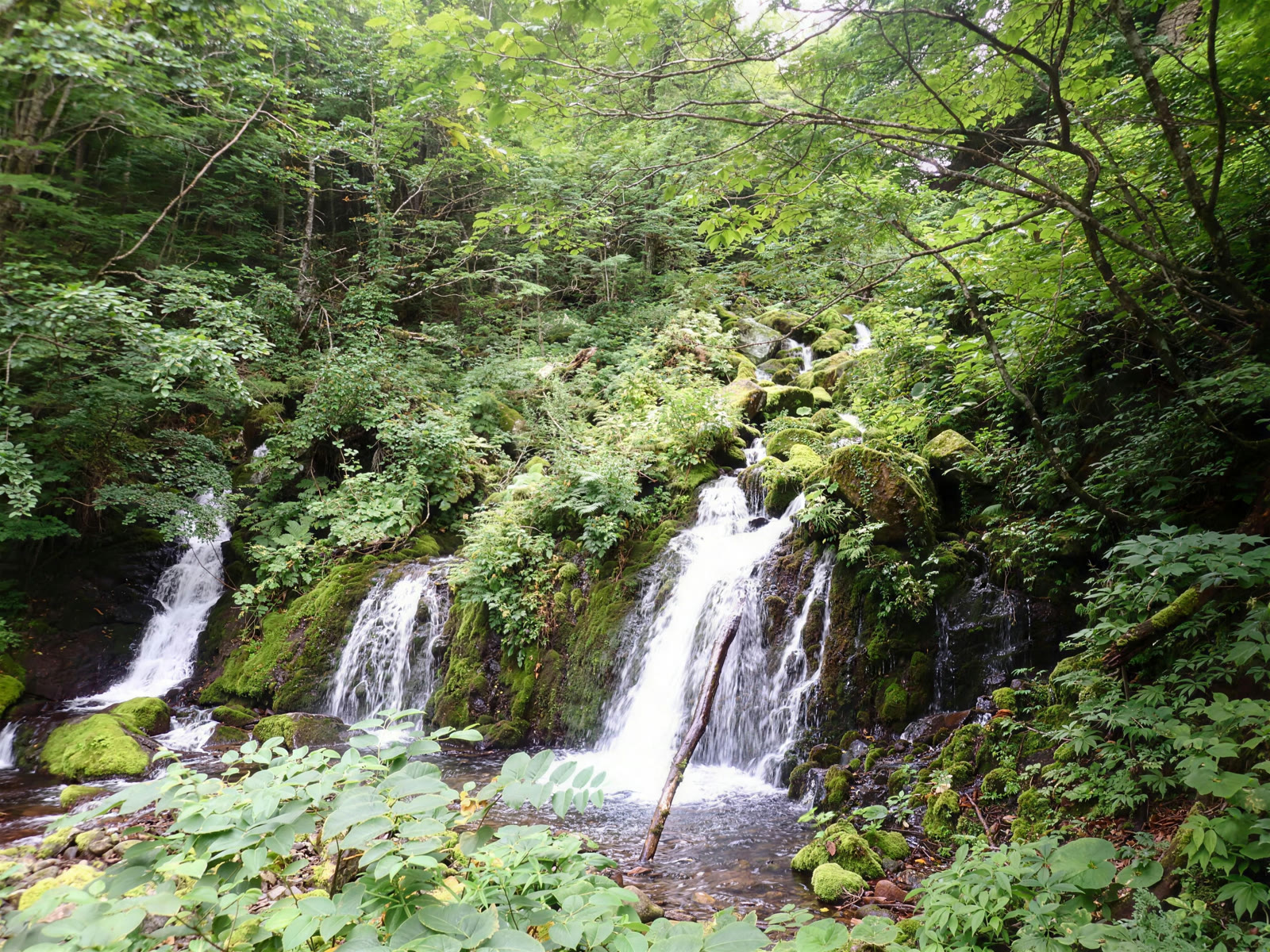 岩肌を幾筋にも流れ落ちる滝